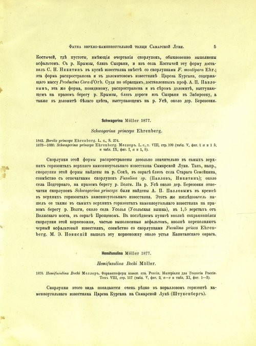 Страница 23