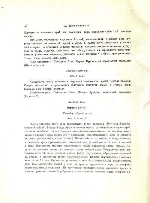Страница 100