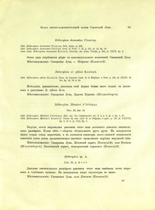 Страница 117