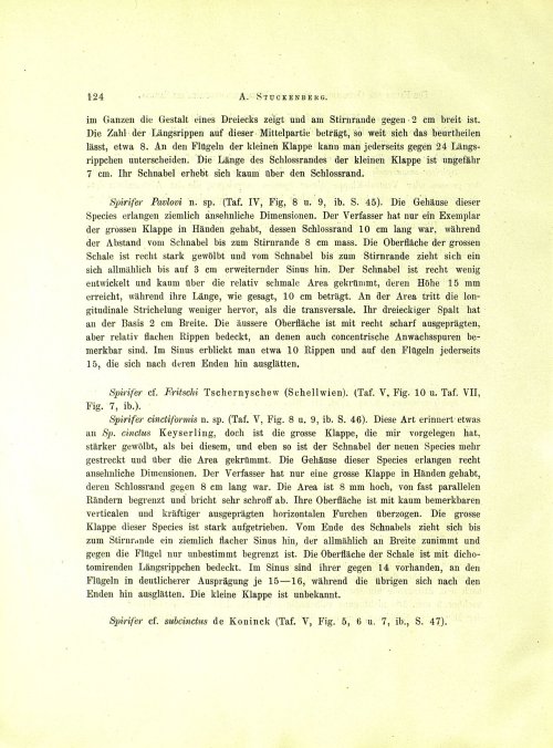 Страница 142