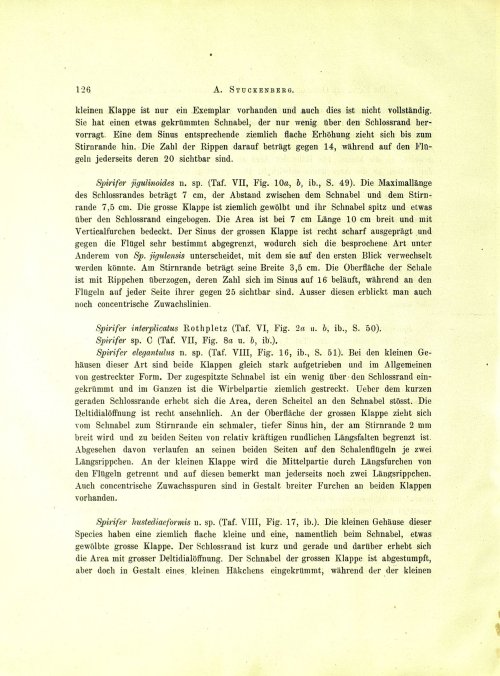 Страница 144