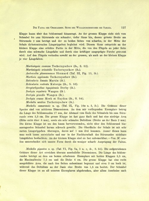 Страница 145