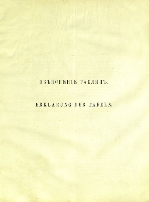 Страница 163