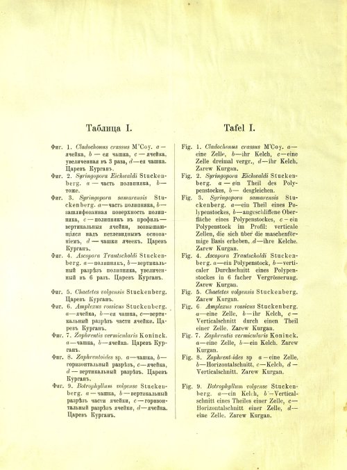 Страница 164