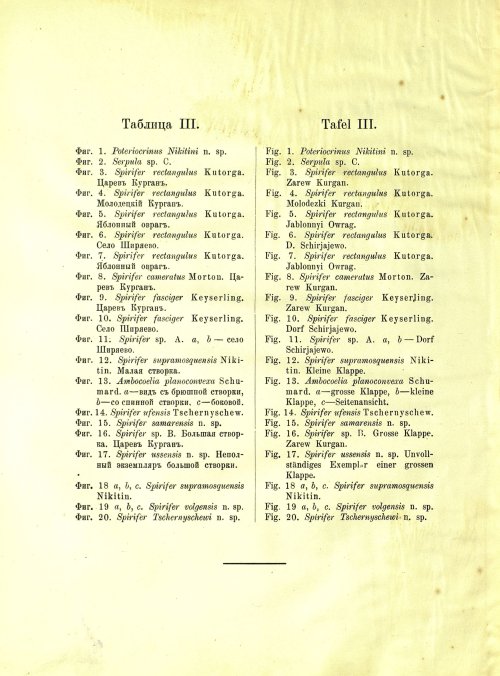 Страница 176