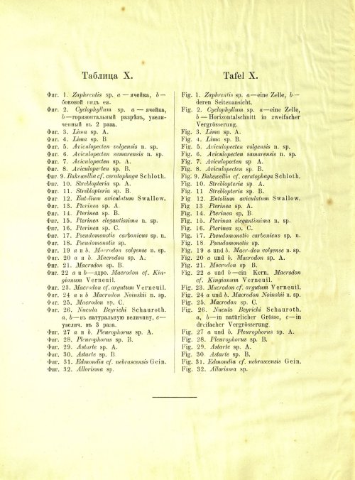 Страница 218